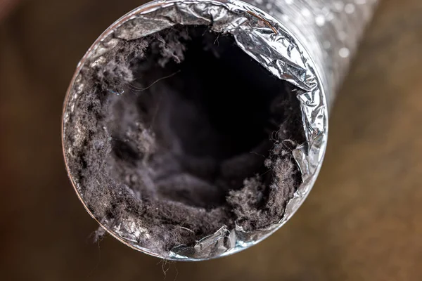 A dryer vent prior to being cleaned at a customer's home in Greenville, SC